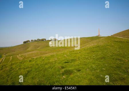 Scarpata pendenza del Cavallo Bianco su Cherhill giù e Lansdowne monumento, Cherhill, Wiltshire, Inghilterra Foto Stock