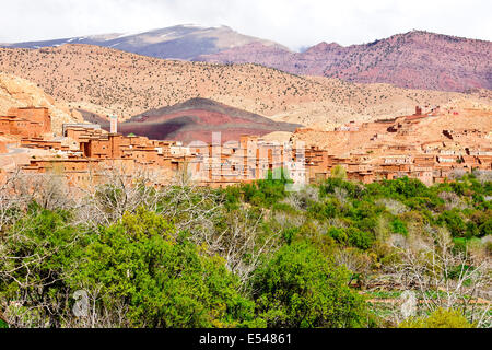 Kasbah anemiter, asif ounila,vicino ait bennhaddou,verde fertili valli fluviali, l'agricoltura,noce,alberi di pesco in fiore,Marocco Foto Stock