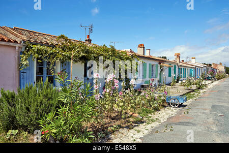 Aix è una pittoresca isola che può essere facilmente visitata a piedi o in bicicletta. Hollyhocks si trovano nella maggior parte dei giardini e anche verso il basso Foto Stock