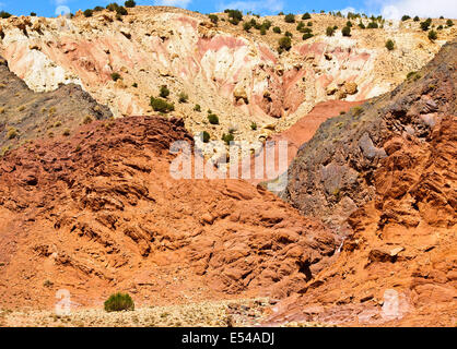 Kasbah anemiter, asif ounila,vicino ait bennhaddou,verde fertili valli fluviali, l'agricoltura,noce,alberi di pesco in fiore,Marocco Foto Stock