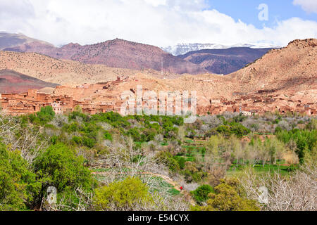 Kasbah anemiter, asif ounila,vicino ait bennhaddou,verde fertili valli fluviali, l'agricoltura,noce,alberi di pesco in fiore,Marocco Foto Stock