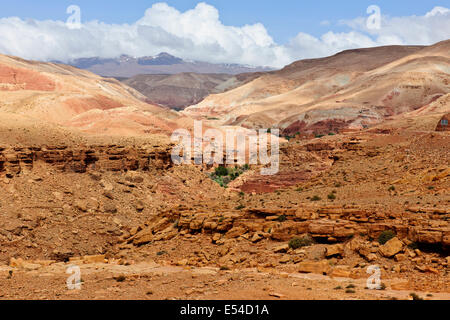 Kasbah anemiter, asif ounila,vicino ait bennhaddou,verde fertili valli fluviali, l'agricoltura,noce,alberi di pesco in fiore,Marocco Foto Stock