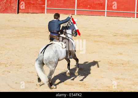 La corrida a cavallo. Tipica corrida spagnola. Foto Stock