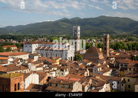Vista sulla città dalla Torre Guinigi per il Duomo di San Martino, Lucca, Toscana, Italia, Europa Foto Stock