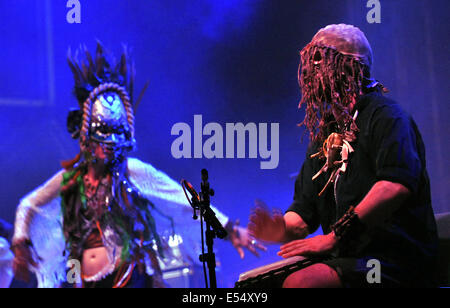 Ostrava, Repubblica Ceca. Il 20 luglio, 2014. Band svedese capra suona al festival di musica di colori di Ostrava in Ostrava, Repubblica ceca, 20 luglio 2014. Credito: Jaroslav Ozana/CTK foto/Alamy Live News Foto Stock