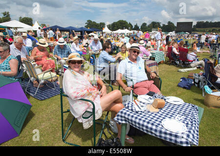 Spettatori godere picnic a Veuve Clicquot Gold Cup, British Open Polo campionato, Cowdray Park Polo Club, Midhurst England Regno Unito Foto Stock