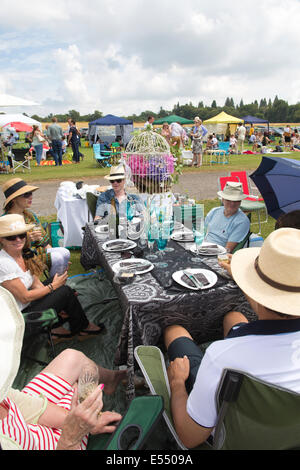 Spettatori godere picnic a Veuve Clicquot Gold Cup, British Open Polo campionato, Cowdray Park Polo Club, Midhurst England Regno Unito Foto Stock