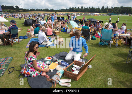 Spettatori godere picnic a Veuve Clicquot Gold Cup, British Open Polo campionato, Cowdray Park Polo Club, Midhurst England Regno Unito Foto Stock