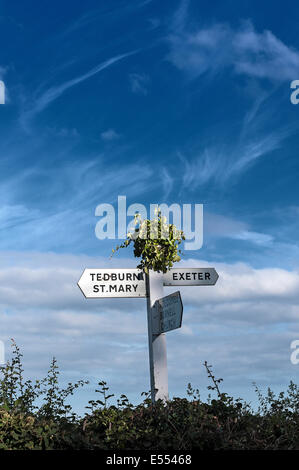 Tedburn st Mary,cuore di devon,signpost,exeter,segno, post, segnaletica, di legno sentiero, strada, campo, legno, all'aperto, sentiero natura Foto Stock