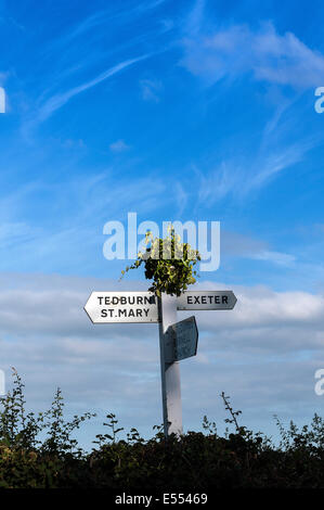 Tedburn st Mary,cuore di devon,signpost,exeter,tedburn st Mary,cuore di devon,signpost,exeter,segno, post, segnaletica, legno, piedi Foto Stock