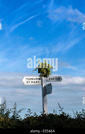 Tedburn st Mary,cuore di devon,signpost,exeter,segno, post, segnaletica, di legno sentiero, strada, campo, legno, all'aperto, sentiero natura Foto Stock