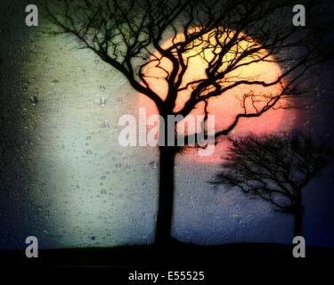 Arte digitale: quando la pioggia inizia a cadere (Cleeve Hill nr. Cheltenham, Gloucestershire, UK) Foto Stock