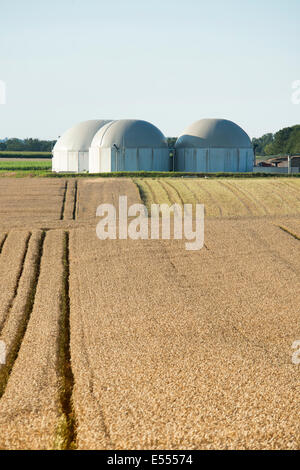 Impianto di produzione di biogas in Germania, Hesse Foto Stock