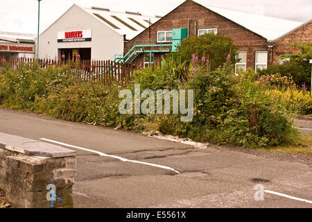 Dundee, Tayside, Scotland, Regno Unito. 21 Luglio, 2014. High Road e tasse del Consiglio dello stato della pubblica sentieri e strade sono una vergogna. Dundee City Council è speso milioni di GBP sul lungomare di progetto di sviluppo mentre strade e marciapiedi sono senza manutenzione piena di buchi, patchwork e superfici irregolari. Credito: Dundee fotografico / Alamy Live News Foto Stock