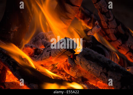 I rami degli alberi sono bruciati nel fuoco Foto Stock