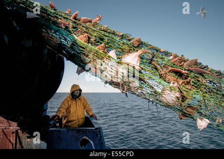 Pescatore tira indietro dragger net sulla pesca a strascico. Stellwagen banche, New England, Stati Uniti, Nord Oceano Atlantico. Foto Stock
