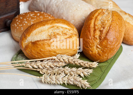 Appena sfornato rotoli tradizionali su un panno di cotone con spighe di grano Foto Stock