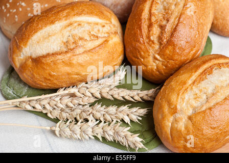 Appena sfornato rotoli tradizionali su un panno di cotone con spighe di grano Foto Stock