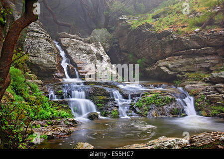 Le cascate di Dimosari canyon, Sud isola di Eubea, Grecia centrale. Foto Stock