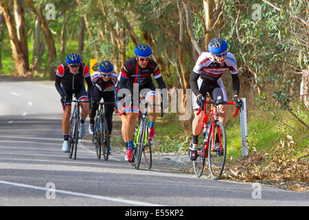 Southern Districts veterani e Ladies Ciclismo Club racing McLaren Flat Australia del sud Penisola di Fleurieu Foto Stock