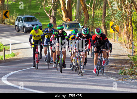 Southern Districts veterani e Ladies Ciclismo Club racing McLaren Flat Australia del sud Penisola di Fleurieu Foto Stock