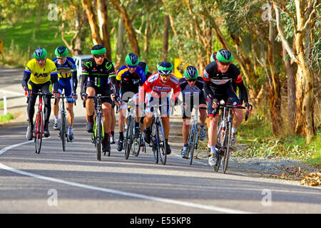 Southern Districts veterani e Ladies Ciclismo Club racing McLaren Flat Australia del sud Penisola di Fleurieu Foto Stock