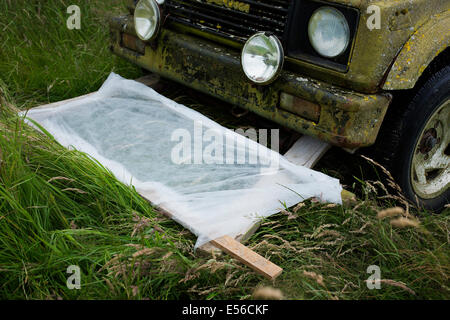 La raccolta di insetti per un entomologo di studiare utilizzando una casa fatta di insetti catcher sulla parte anteriore di un veicolo Foto Stock