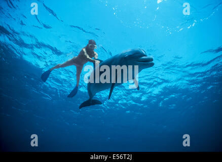 Dolphin trainer interagisce con i capretti tursiope (Tursiops truncatus). Dolphin Reef, Eilat, Israele, Mar Rosso Foto Stock