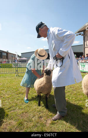 Llanelwedd, UK. Il 22 luglio 2014. Un numero record di visitatori in eccesso di 240.000 sono attesi questa settimana durante i quattro giorni dell'Europa la più grande mostra dell'agricoltura. Classi di bestiame e i premi speciali hanno attratto 8.000 voci plus, 670 in più rispetto allo scorso anno. La prima mai Royal Welsh Show è stato a Aberystwyth in 1904 ed ha attirato 442 voci di bestiame. Credito: Graham M. Lawrence/Alamy Live News. Foto Stock