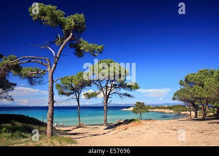 Karydi beach, di Vourvourou, penisola di Sithonia Halkidiki, (o 'Calcidica'), Macedonia, Grecia Foto Stock