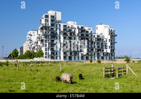 Staevnen, casa appartamento moderno, Amager, Copenhagen, Danimarca Foto Stock