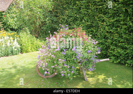 Un tradizionale English Garden cottage a Rosemoor, vicino a Torrington, Devon, Inghilterra sudoccidentale, UK, photraphed in estate. Foto Stock