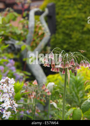 Statua a Chenies Manor garden in primavera con il miele siciliano aglio, Nectaroscordum siculum e miele delle api in volo effettuato nel mese di maggio Foto Stock