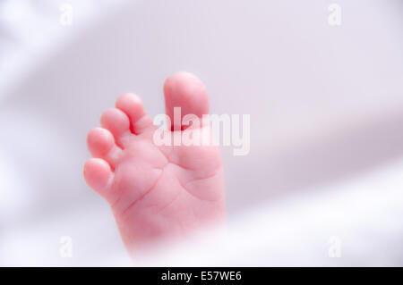 Neonato stirando in una luminosa e ariosa e vivaio cesto di Mosè Foto Stock