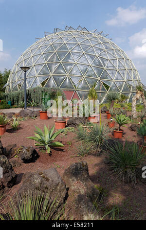 Dome, serra giardino botanico della Heinrich-Heine-Università di Düsseldorf, Düsseldorf, Renania, Renania settentrionale-Vestfalia Foto Stock