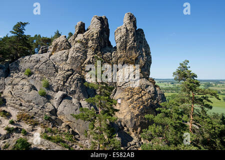 "Hamburger Wappen' formazioni arenarie, parte dei Muri del Diavolo, Teufelsmauer, vicino Timmenrode, Harz, Sassonia-Anhalt, Germania Foto Stock