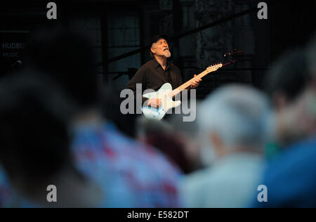 Liberec, Repubblica Ceca. 22 Luglio, 2014. American jazz-rock chitarrista e compositore John Scofield esegue entro la Boemia Jazz Fest di Liberec (Repubblica Ceca), 22 luglio 2014. Credito: Radek Petrasek/CTK foto/Alamy Live News Foto Stock