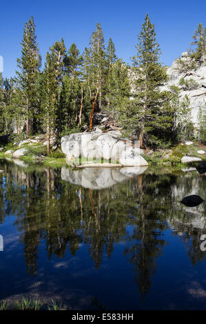 La riflessione di rocce e alberi in un piccolo lago alpino Foto Stock