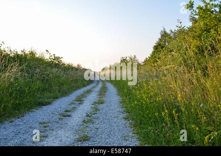 Svuotare strada di ghiaia in estate circondato da lussureggiante vegetazione Foto Stock