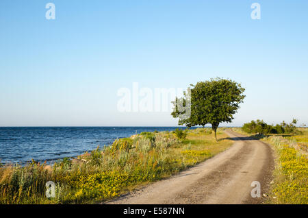 Avvolgimento su strada di ghiaia con Lone Tree dalla costa all'isola svedese Oland Foto Stock