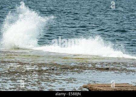 Piccole onde estive di colpire calcare spiaggia mentre la rottura. Foto Stock