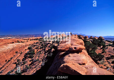 Pinna Canyon,Parco Nazionale Arches,Utah Foto Stock