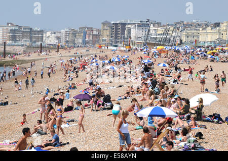 Brighton, Sussex, Regno Unito. 23 Luglio, 2014. La spiaggia di Brighton è impaccato nel caldo come temperature aumentato vertiginosamente in tutta la Gran Bretagna Foto Stock