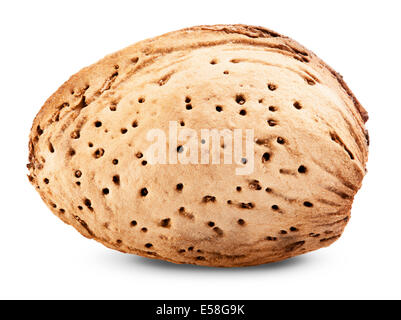 Almond isolate su uno sfondo bianco. Tracciato di ritaglio Foto Stock
