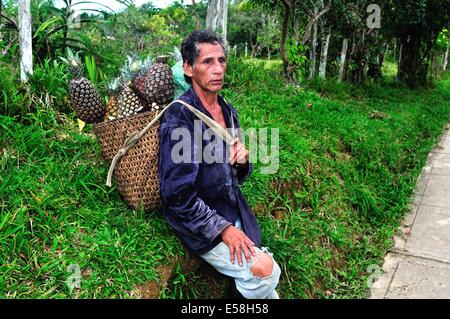 La vendita di ananas in PANGUANA . Dipartimento di Loreto .PERÙ Foto Stock