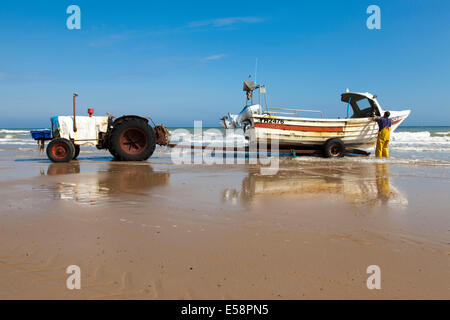 Cromer, Norfolk, Regno Unito. Il 23 luglio 2014. A Cromer crab fisherman terre la sua cattura sulla spiaggia a Cromer in una calda giornata di sole con temperature di 24c. Credito: Mark Richardson/Alamy Live News Foto Stock