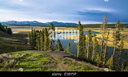 Hayden fiume nella valle di Hayden presso il Parco Nazionale di Yellowstone Foto Stock