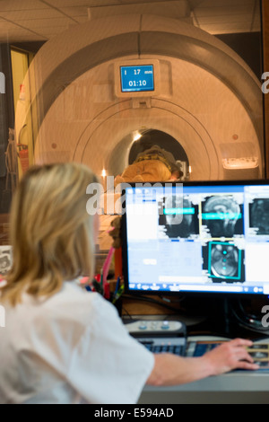 Medico donna esame di risonanza magnetica cerebrale di scansione sul computer Foto Stock