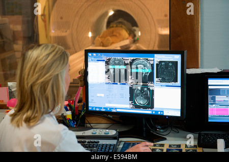 Medico donna esame di risonanza magnetica cerebrale di scansione sul computer Foto Stock