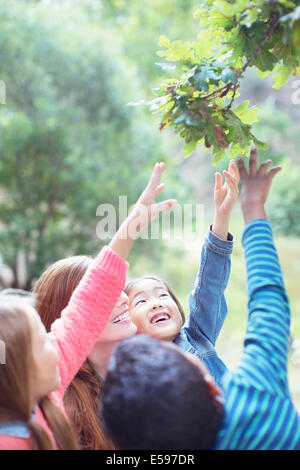 L insegnante e gli studenti di raggiungere per foglie su albero Foto Stock